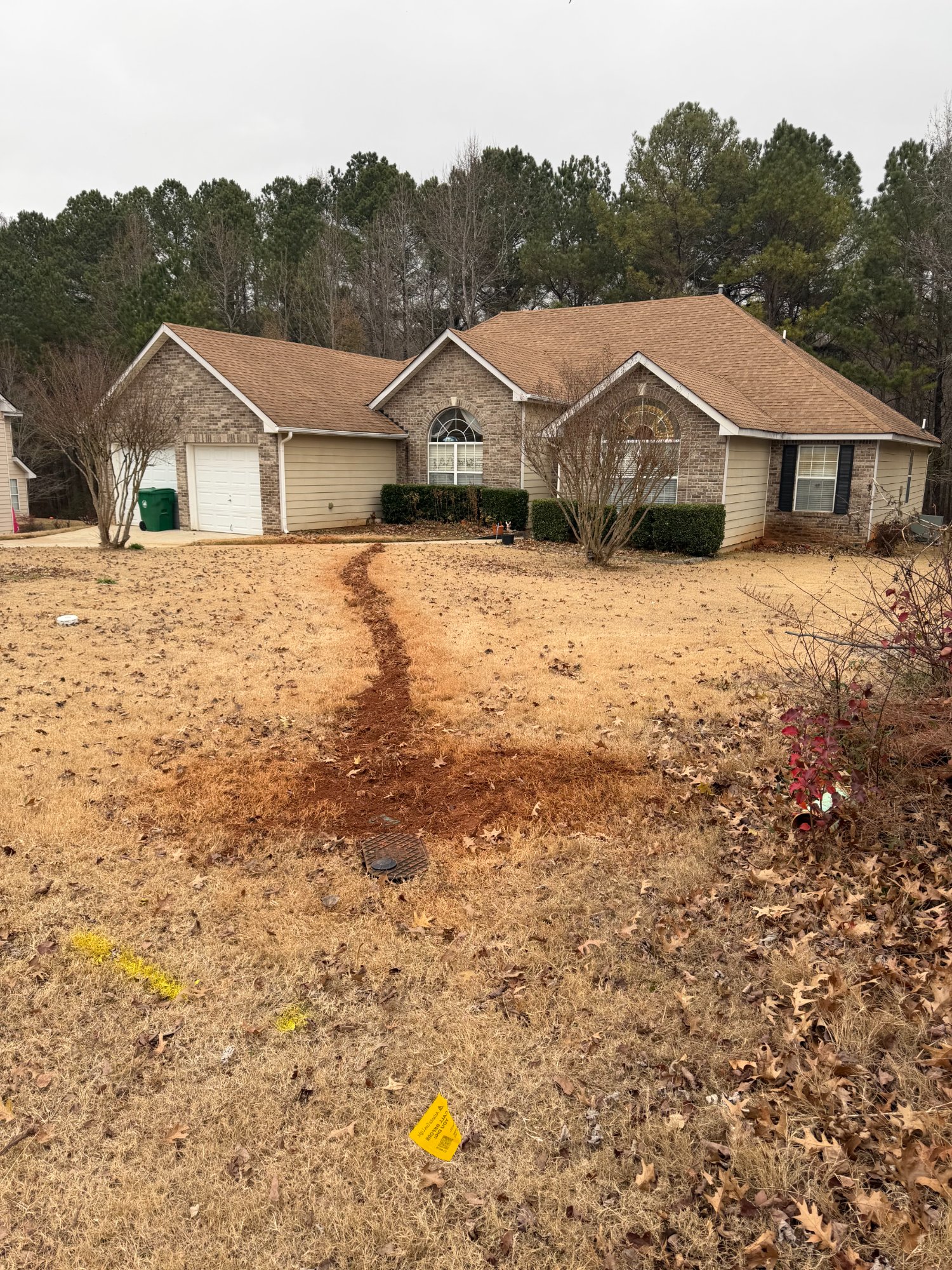 Complete Sewer Line Replacement Project